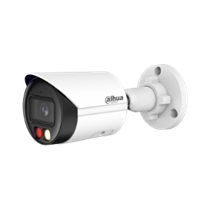 Cámara IP WizSense con foco fijo y luz dual inteligente de 6MP 