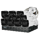COMBO 10 CÁMARAS 1080P 40M DUAL LIGHT + FULL COLOR CON AUDIO 1TB 